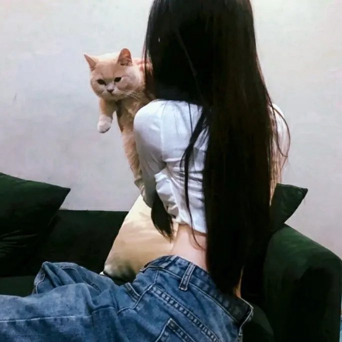 春闺三凤
